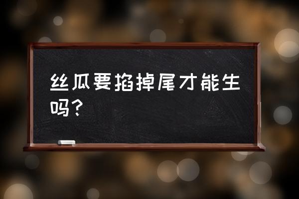 丝瓜养殖教程 丝瓜要掐掉尾才能生吗？