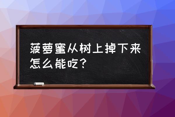 菠萝蜜冬瓜水的做法 菠萝蜜从树上掉下来怎么能吃？