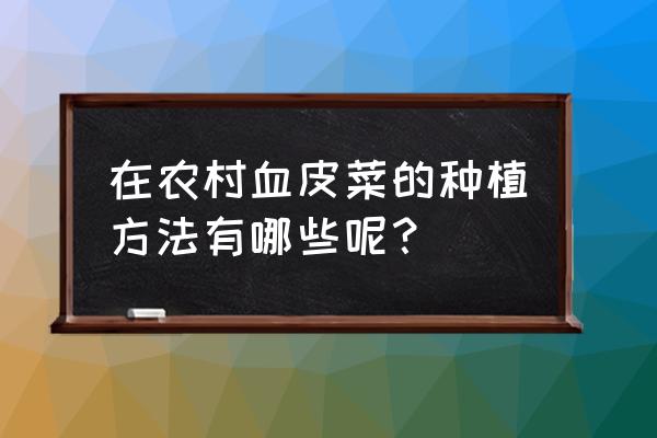 绿色农产品青菜怎么种植 在农村血皮菜的种植方法有哪些呢？