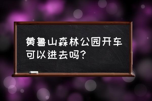 黄山公园自由行热门攻略 黄鲁山森林公园开车可以进去吗？