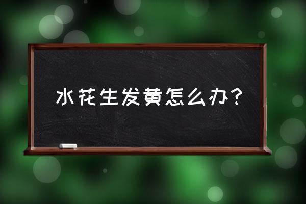 花生浇水后叶片发黄怎么回事 水花生发黄怎么办？