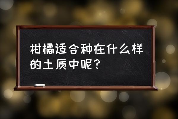 正宗宜昌滑皮金桔 柑橘适合种在什么样的土质中呢？