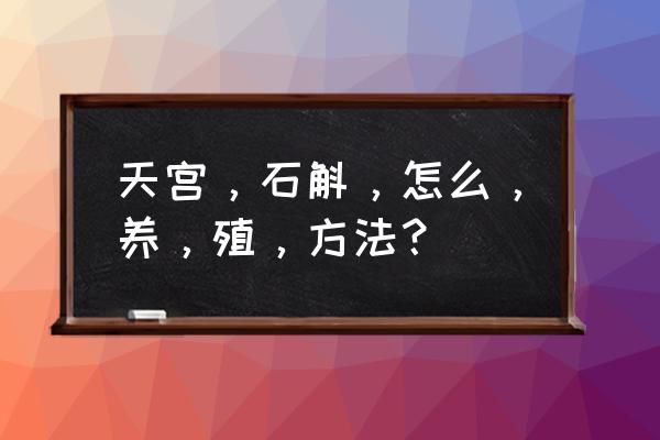 石斛的栽培方法及注意事项 天宫，石斛，怎么，养，殖，方法？