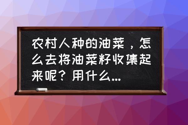 油菜花3天一晚旅游攻略 农村人种的油菜，怎么去将油菜籽收集起来呢？用什么方法最好？