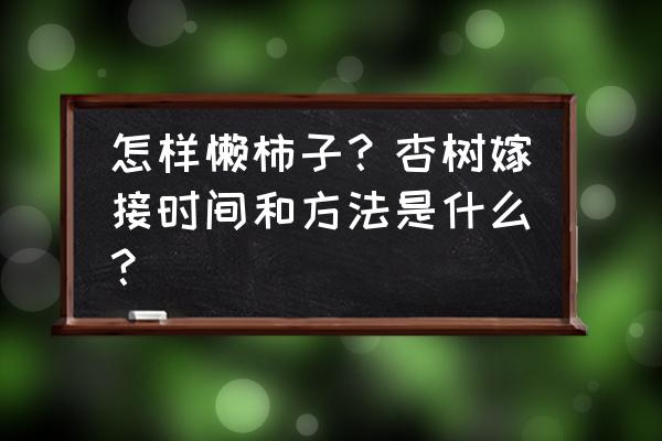 杏树都朝上生长的枝条怎样剪枝 怎样懒柿子？杏树嫁接时间和方法是什么？