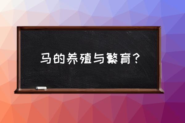 个人养马怎么养 马的养殖与繁育？