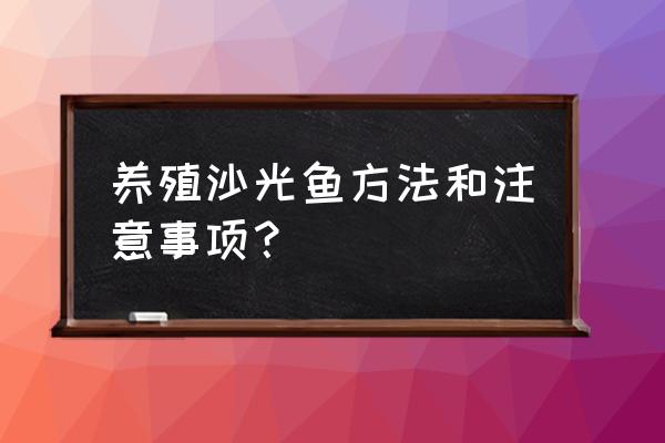 对虾养殖多少天容易生病 养殖沙光鱼方法和注意事项？