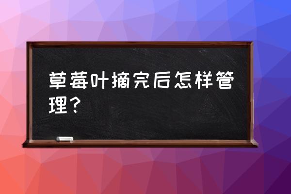 草莓叶子叠纸慢教程 草莓叶摘完后怎样管理？