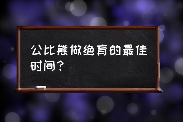 狗狗绝育的最佳时期及注意事项 公比熊做绝育的最佳时间？