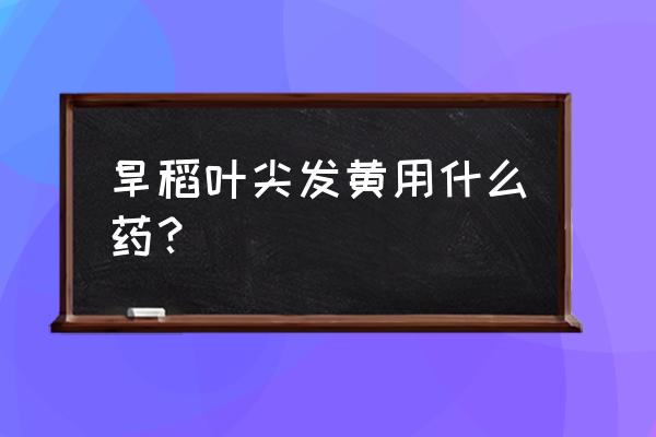 水稻白叶枯病防治药剂有哪些 旱稻叶尖发黄用什么药？