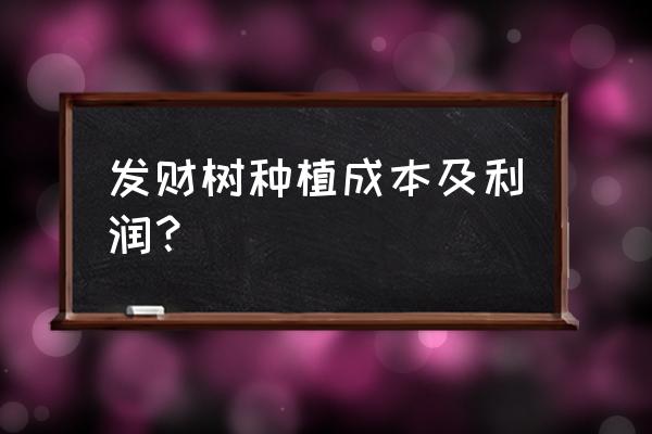 发财树苗一年能长多粗 发财树种植成本及利润？