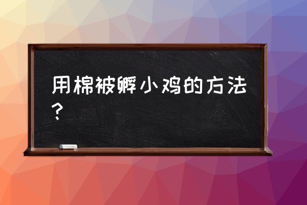 在家怎样孵小鸡步骤 用棉被孵小鸡的方法？