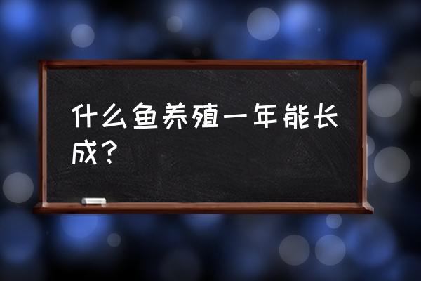 各种鱼类养殖 什么鱼养殖一年能长成？