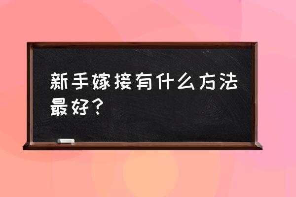 新手如何嫁接成活率最好 新手嫁接有什么方法最好？