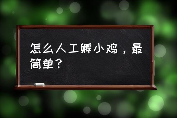 小鸡下蛋玩具制作教程 怎么人工孵小鸡，最简单？