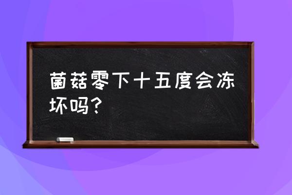 菌菇生长流程讲解 菌菇零下十五度会冻坏吗？