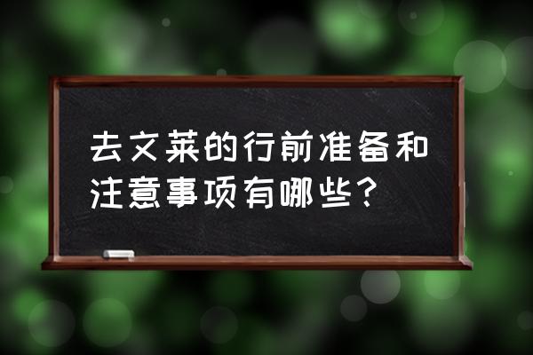 到文莱旅游需要准备些什么 去文莱的行前准备和注意事项有哪些？