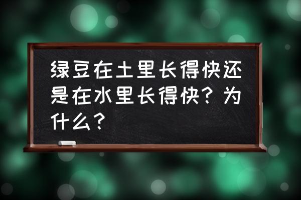 土培绿豆芽最简单的方法 绿豆在土里长得快还是在水里长得快？为什么？