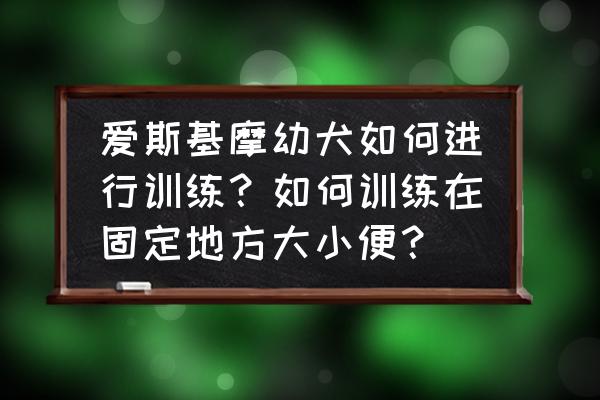 幼犬怎么训练遛狗 爱斯基摩幼犬如何进行训练？如何训练在固定地方大小便？