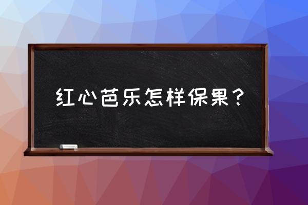 番石榴幼果时可以多浇水吗 红心芭乐怎样保果？