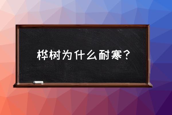 桦树能生长在北方是因为 桦树为什么耐寒？