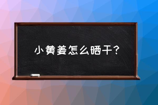 野姜有什么药用价值 小黄姜怎么晒干？