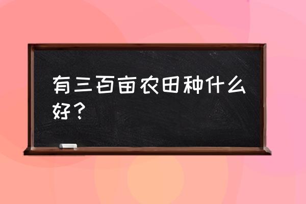 蜜蜂数字化认养平台 有三百亩农田种什么好？