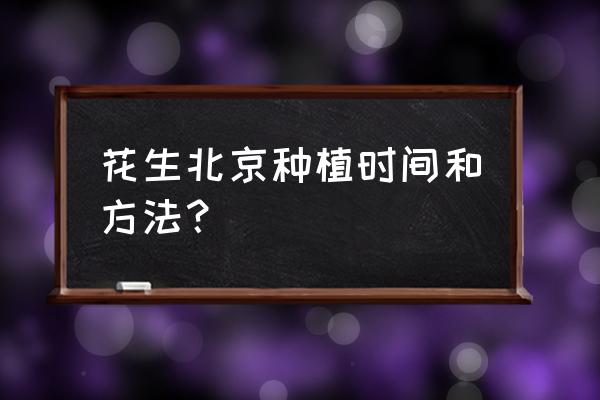 移栽花生的最佳方法 花生北京种植时间和方法？