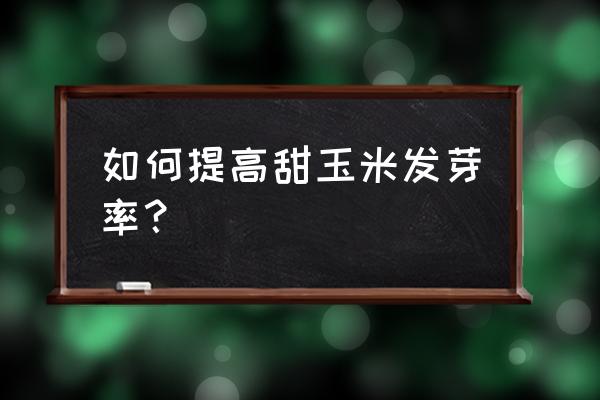 玉米怎么泡水发芽 如何提高甜玉米发芽率？