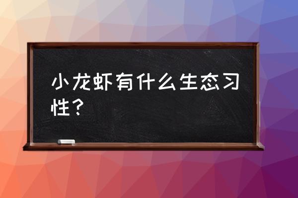 稻田养小龙虾吃什么 小龙虾有什么生态习性？