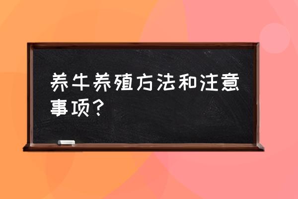 肉牛前期怎么饲养 养牛养殖方法和注意事项？