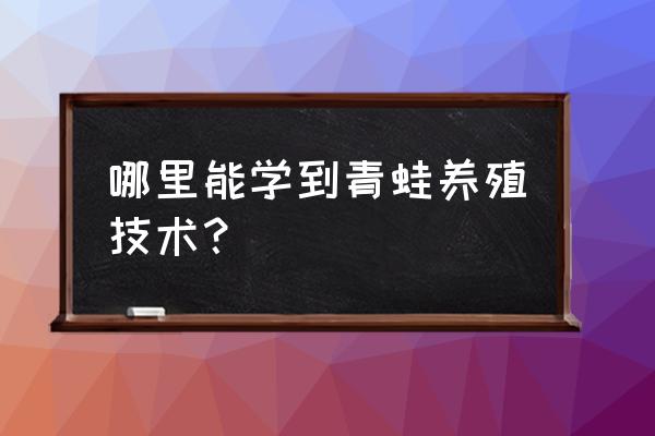 怎样在农家里饲养稻田里的青蛙 哪里能学到青蛙养殖技术？