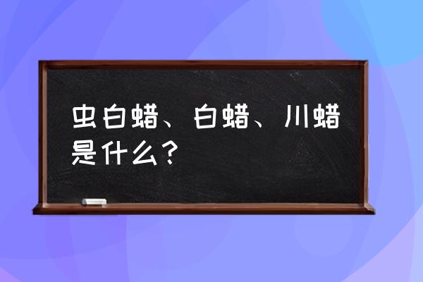 汉中女贞树有没有蚧壳虫危害 虫白蜡、白蜡、川蜡是什么？