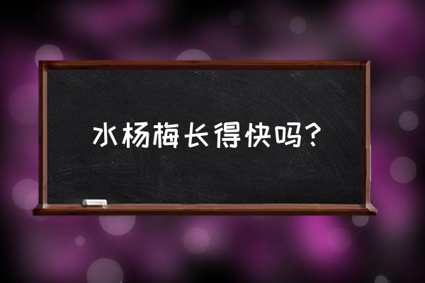 杨梅怎么长得又大又好 水杨梅长得快吗？