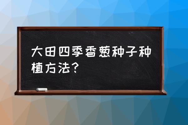 北方准备在室内栽种发芽葱的技术 大田四季香葱种子种植方法？