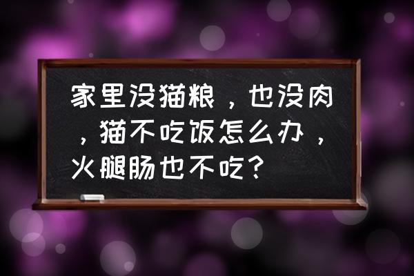 猫粮豆腐的制作方法 家里没猫粮，也没肉，猫不吃饭怎么办，火腿肠也不吃？