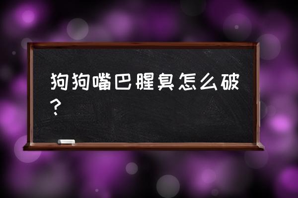 狗狗脚臭味去除方法 狗狗嘴巴腥臭怎么破？