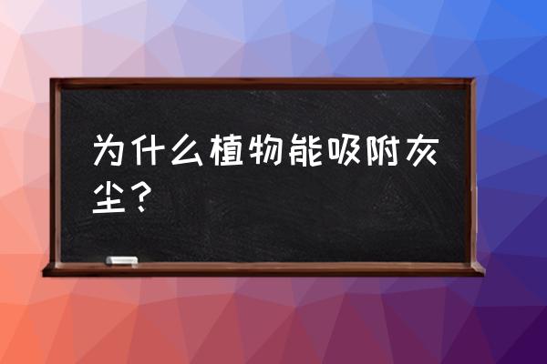 3d水景烟雾效果制作 为什么植物能吸附灰尘？