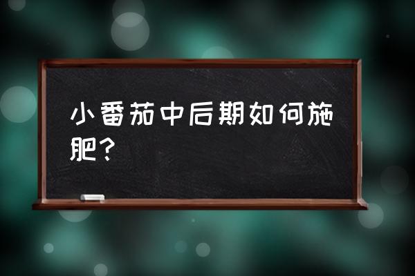 圣女果施肥方法有哪些 小番茄中后期如何施肥？