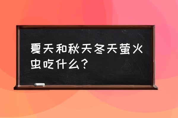 萤火虫一直往屋里飞怎么办 夏天和秋天冬天萤火虫吃什么？