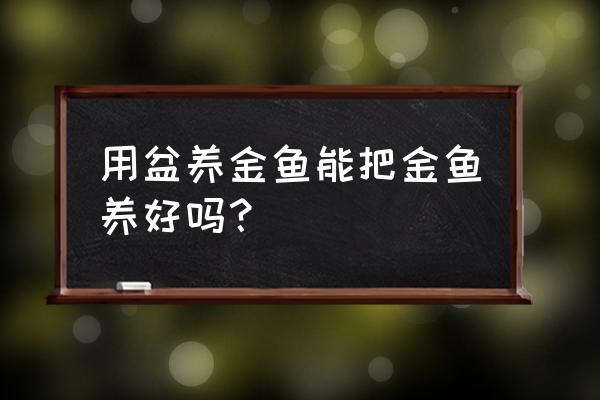 院子内养金鱼好吗 用盆养金鱼能把金鱼养好吗？