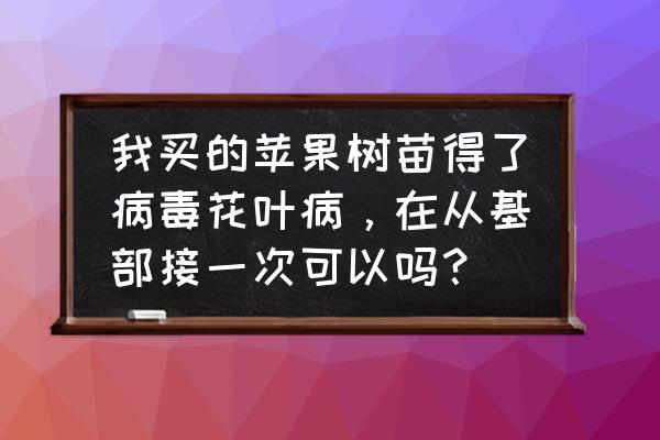 苹果花叶病用什么药能治好 我买的苹果树苗得了病毒花叶病，在从基部接一次可以吗？