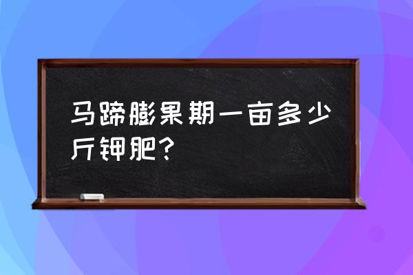 马蹄什么时候打膨大素 马蹄膨果期一亩多少斤钾肥？