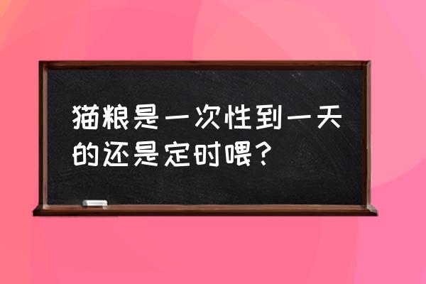 猫咪定时喂养的正确方式 猫粮是一次性到一天的还是定时喂？