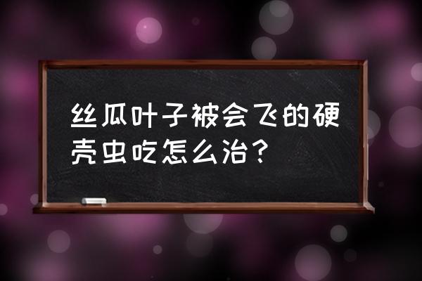 丝瓜防治虫最好的小妙招 丝瓜叶子被会飞的硬壳虫吃怎么治？