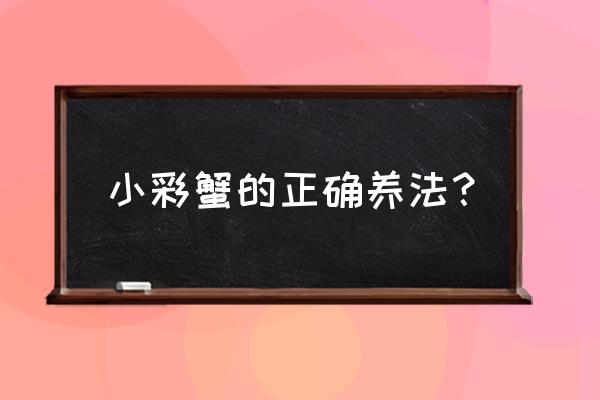 宠物螃蟹正确养法 小彩蟹的正确养法？