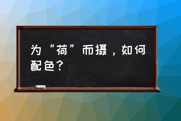 ps雨天照片调色参数 为“荷”而摄，如何配色？