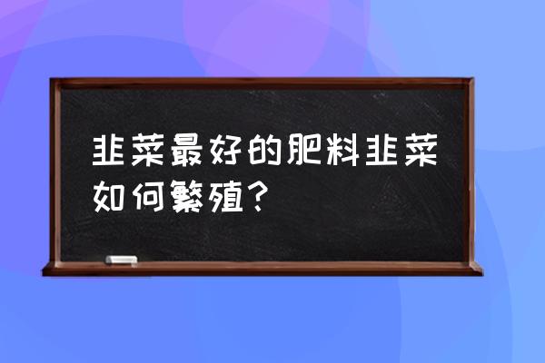 韭菜用什么肥长得壮 韭菜最好的肥料韭菜如何繁殖？