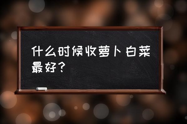 大白菜收获的最佳时间 什么时候收萝卜白菜最好？