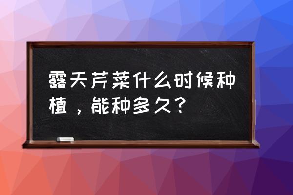 四季小香芹是播种好还是移栽好 露天芹菜什么时候种植，能种多久？